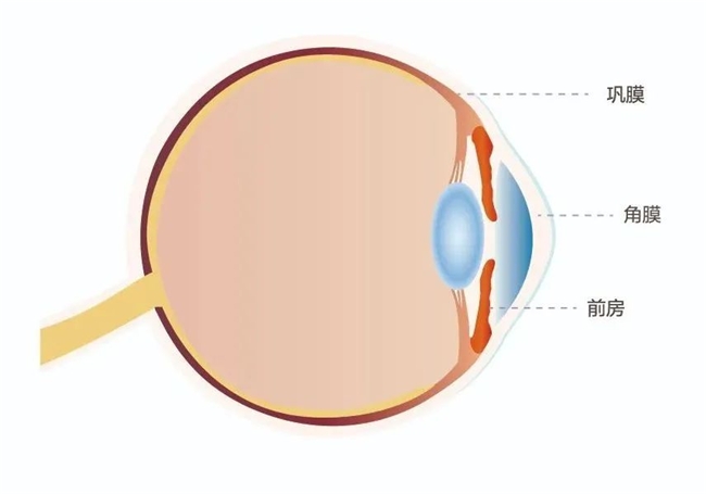 爱尔眼科：揭开角膜移植的神秘面纱，为患者点亮复明希望