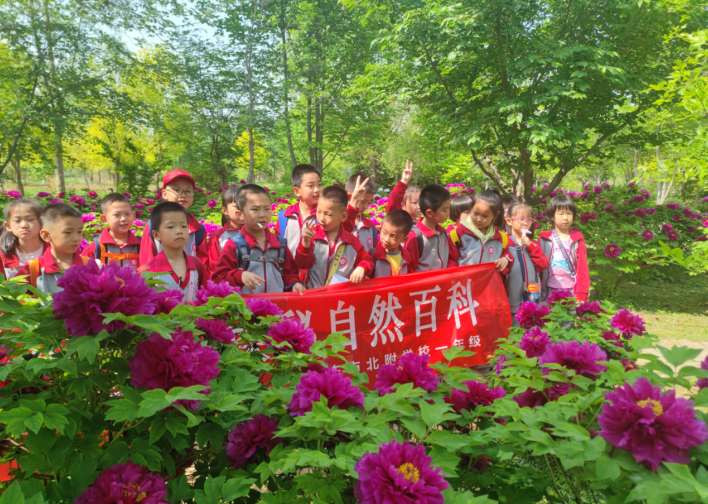 石家庄市北附学校:走进芳草世界 探秘自然百科