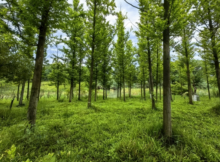 天润柏川：放松心灵的好去处