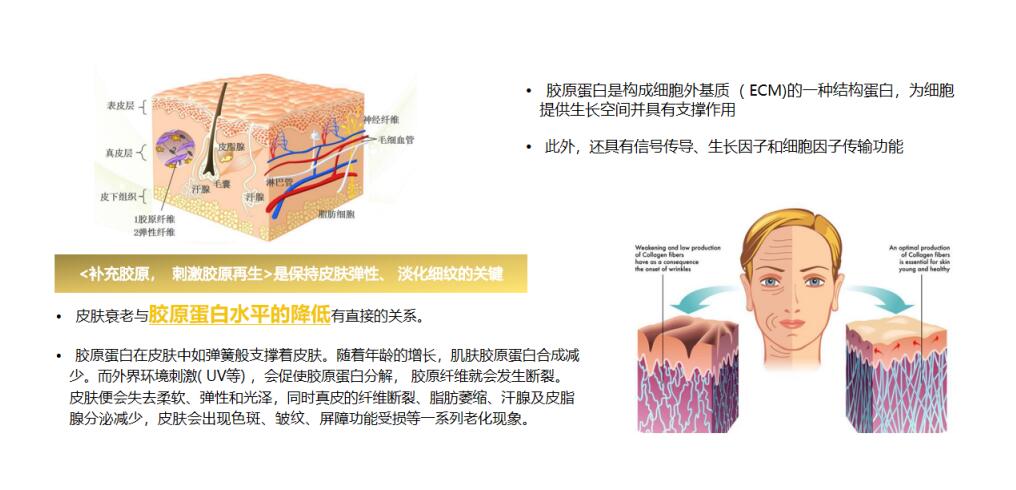 国产益胶源的发展路程