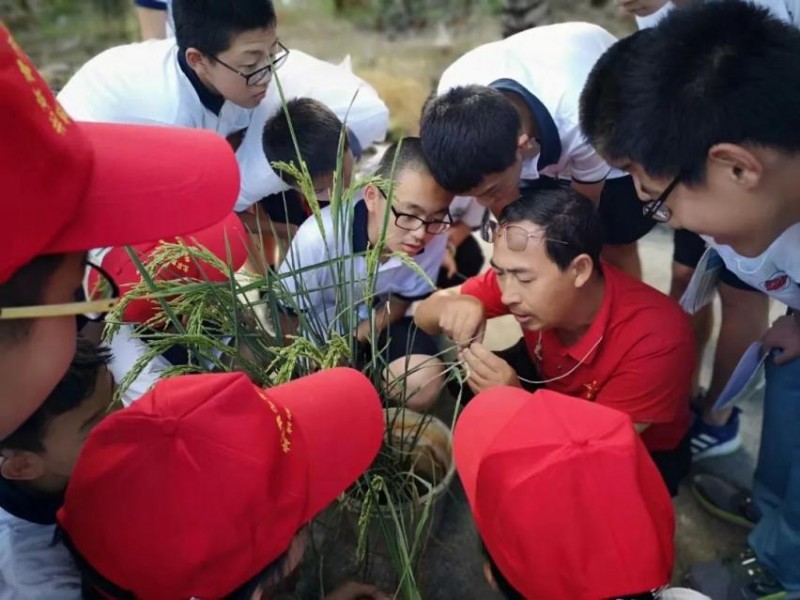 关注！入围北京市首批拔尖创新人才培养基地，西城这所牛校接连出招