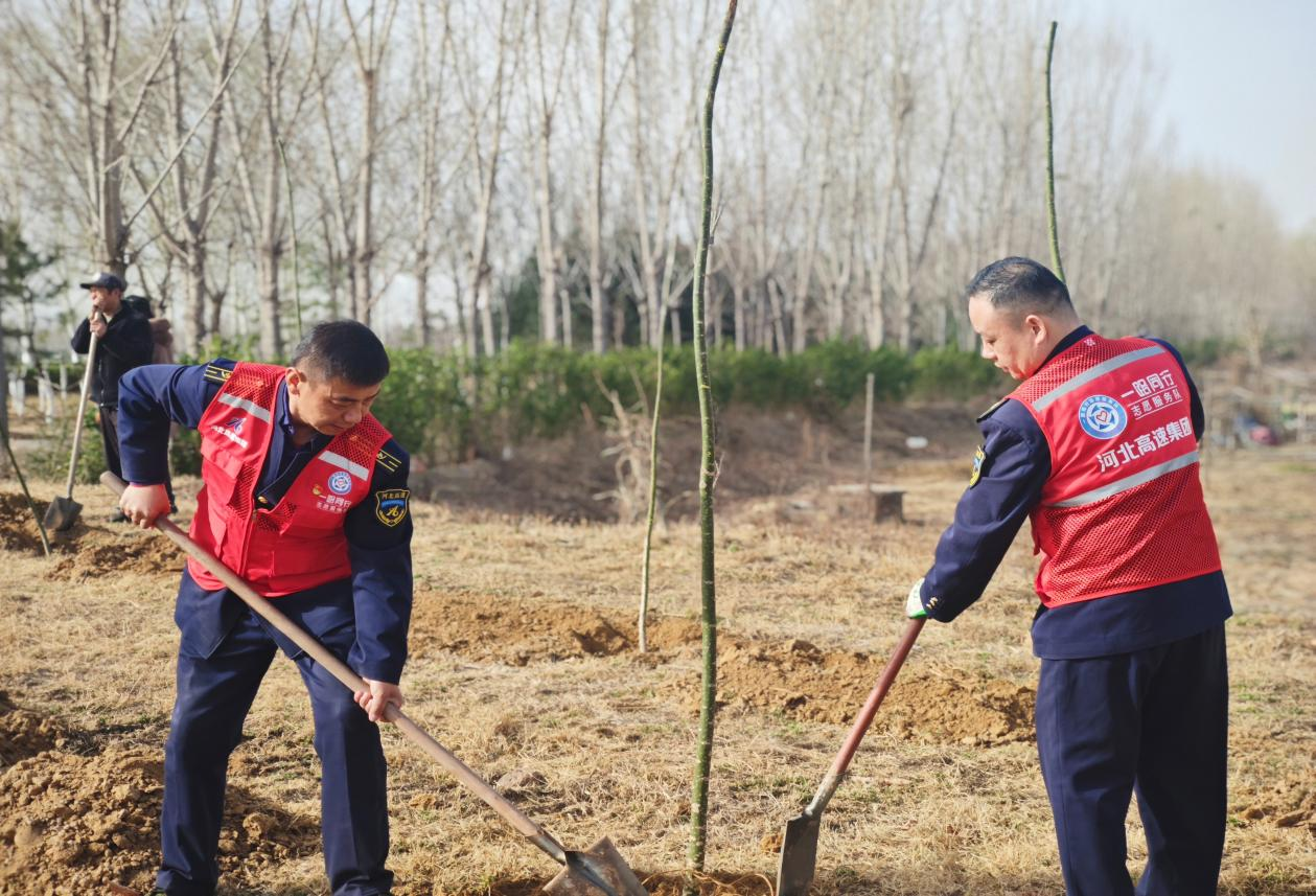 春回大地万物苏，植树添绿正当时—— 河北高速公路集团有限公司邢汾分公司东马庄收费站开展植树活动